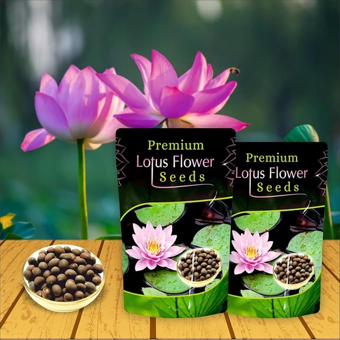 Bonsai Lotus Flower Seeds Buy 1 Get 1 Free + Free 10 Zip Lock Poly